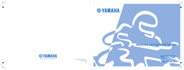 Manuel du propriétaire | Yamaha YBR250-2007 Manuel utilisateur | Fixfr