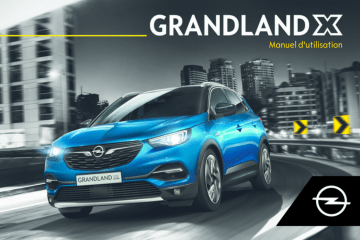 Opel Grandland X 2017 Manuel du propriétaire | Fixfr