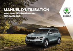 SKODA Karoq 2017 Manuel du propriétaire