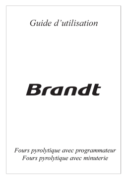 Brandt MP4327VN Manuel utilisateur