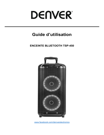 Denver TSP-450 Dual 10” trolley speaker Manuel utilisateur | Fixfr