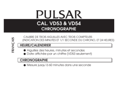 Pulsar PT3950X1 Manuel utilisateur