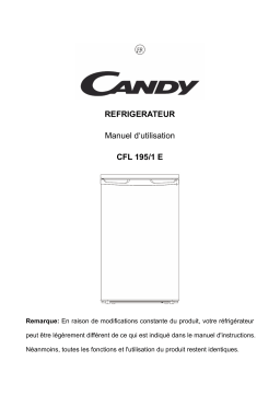 Candy CFL 195 / 1 E Manuel utilisateur