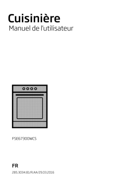 Beko FSS57100GAC Manuel utilisateur