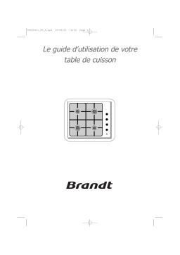 Brandt BP411XU1 Manuel utilisateur