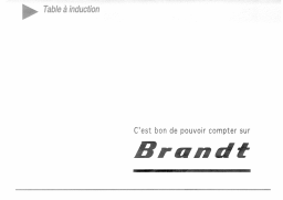 Brandt TPI22 Manuel utilisateur