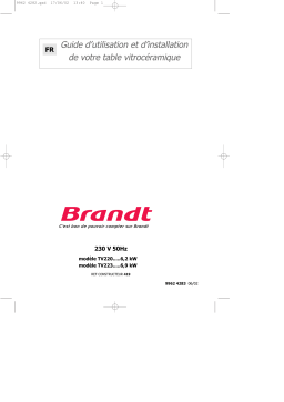 Brandt TV223BS1 Manuel utilisateur