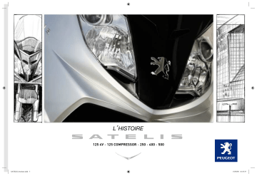 Manuel du propriétaire | Peugeot SATELIS 250 Manuel utilisateur | Fixfr