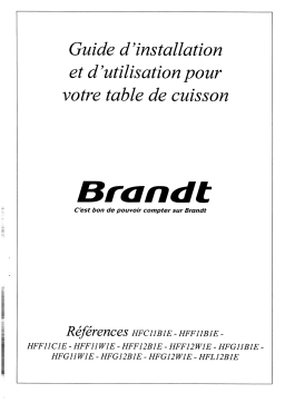 Brandt HFF11B1E Manuel utilisateur