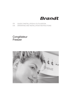 Brandt UL2022 Manuel utilisateur