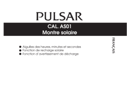 Pulsar PY5074X1 Manuel utilisateur