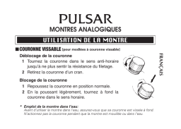 Pulsar PH8416X1 Manuel utilisateur