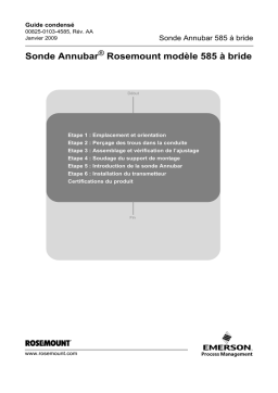 Rosemount Sonde Annubar® modèle 585 à bride Manuel utilisateur