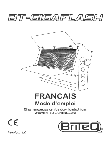 Briteq BT-GIGAFLASH Manuel du propriétaire | Fixfr