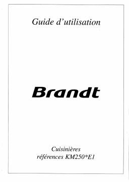 Brandt KM250TE1 Manuel utilisateur