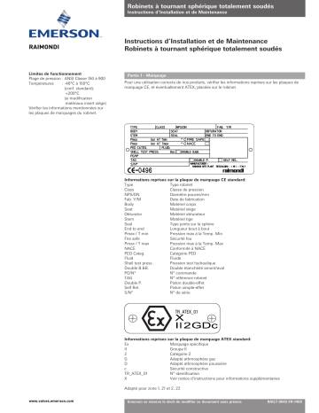 Raimondi Ball Valves, Trunn Mount, Full Weld, Model 5600, IOM Manuel du propriétaire | Fixfr