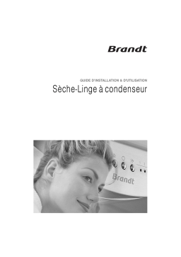 Brandt BWD391Y Manuel utilisateur