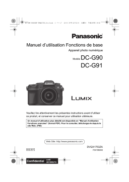 Panasonic DC G91 Manuel utilisateur