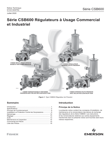 Une information important | Fisher CSB600 Régulateur de Pression Manuel utilisateur | Fixfr