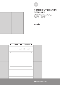 Gorenje EC5351XA Manuel utilisateur