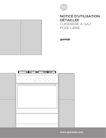 Manuel du propriétaire | Gorenje EC5351XA Manuel utilisateur | Fixfr