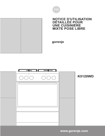 Manuel du propriétaire | Gorenje EC6352XPA Manuel utilisateur | Fixfr