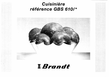 Manuel du propriétaire | Brandt GBS610 Manuel utilisateur | Fixfr