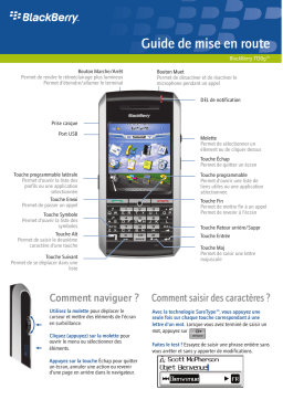 Blackberry 7130g Manuel utilisateur