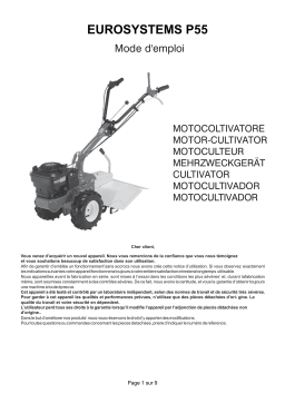 EUROSYSTEMS P55 Manuel utilisateur