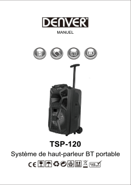 Denver TSP-120 8” Bluetooth trolley speaker Manuel utilisateur