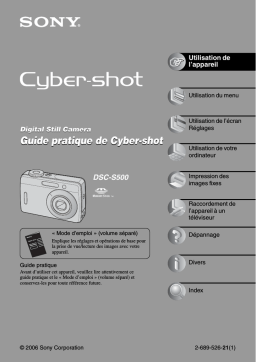 Sony Cyber-Shot DSC S500 Manuel utilisateur