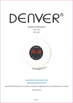 Denver CRL-341 Clockradio Manuel utilisateur