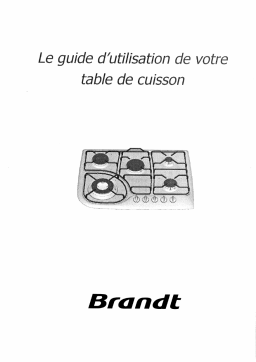 Brandt TE270BF1 Manuel utilisateur