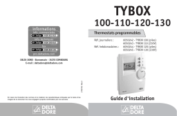 DELTA DORE TYBOX 110 Manuel utilisateur