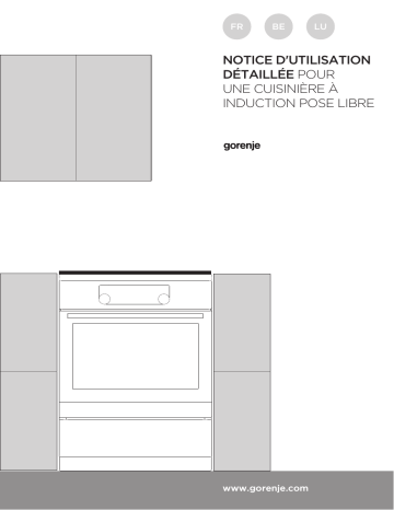 Manuel du propriétaire | Gorenje EIT6356XPD Cuisinière à induction Manuel utilisateur | Fixfr