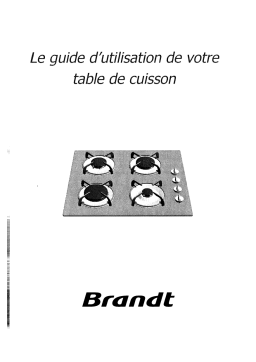 Brandt TG212WS1 Manuel utilisateur