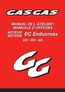 GAS GAS EC 300 Manuel utilisateur