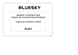 Bluesky BL 401 Table de cuisson Manuel utilisateur
