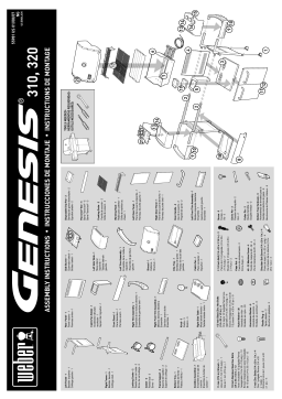 Weber 3851001 Bbq And Gas Grill Guide d'installation