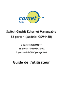 Comet Labs GSM448R Manuel utilisateur