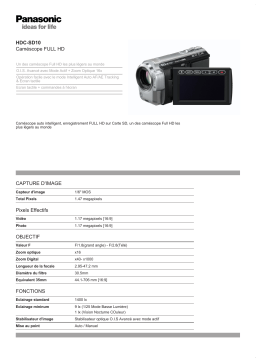 Panasonic HDC-SD10 Manuel utilisateur