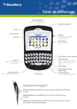 Blackberry 7250 Manuel utilisateur