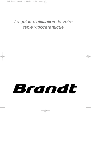 Manuel du propriétaire | Brandt HFT25B1E Manuel utilisateur | Fixfr