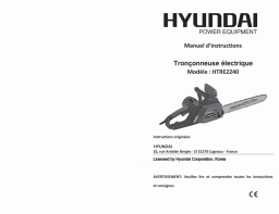 Hyundai 2200W Mode d'emploi