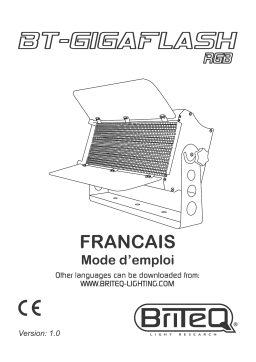 Briteq BT-GIGAFLASH RGB Manuel du propriétaire