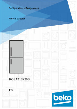 Beko RCNE520E20ZW Manuel utilisateur