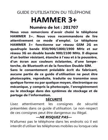 myPhone HAMMER 3+ Manuel utilisateur | Fixfr
