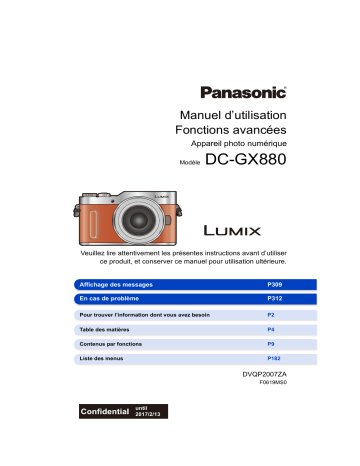 Panasonic DC GX880 Manuel utilisateur | Fixfr