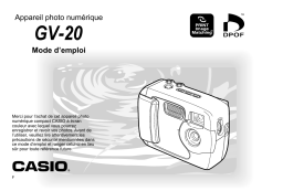 Casio GV-20 Manuel utilisateur
