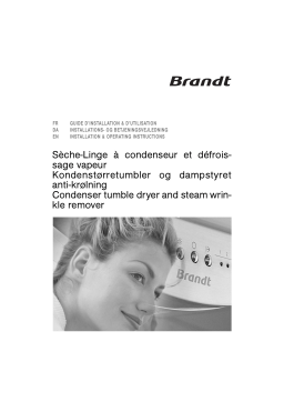 Brandt VAP831E Manuel utilisateur